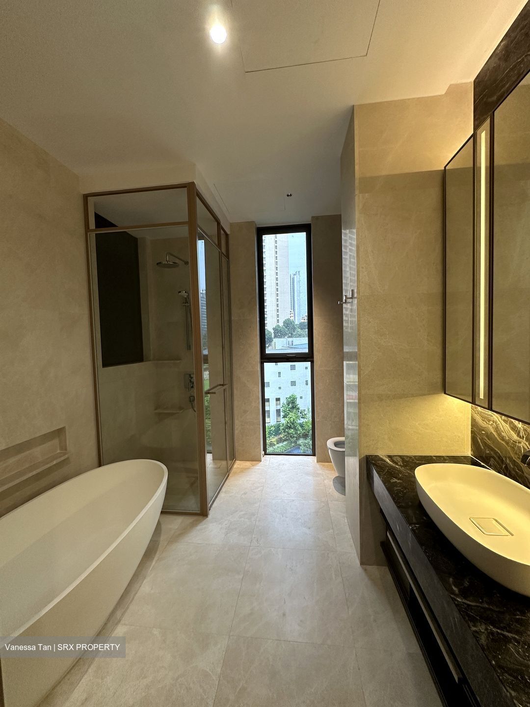 The Avenir (D9), Condominium #586216701